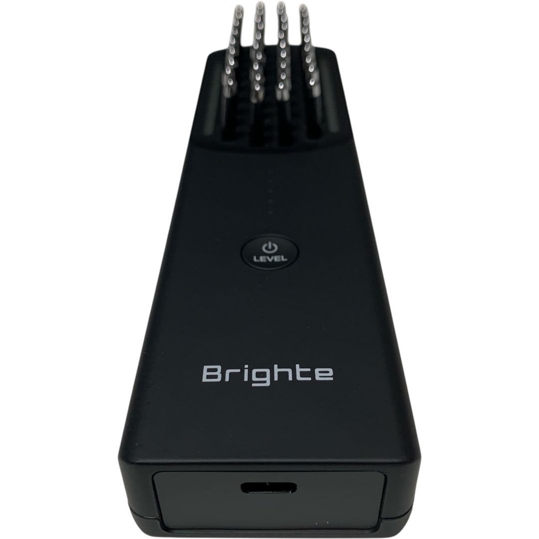 【極美品】Brighte ELEKI BRUSH（ブライト エレキブラシ） 美顔