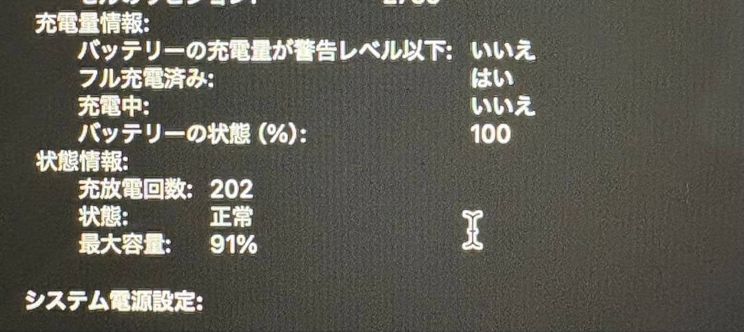 【16GB/91%】 MacBook Air M1 シルバー