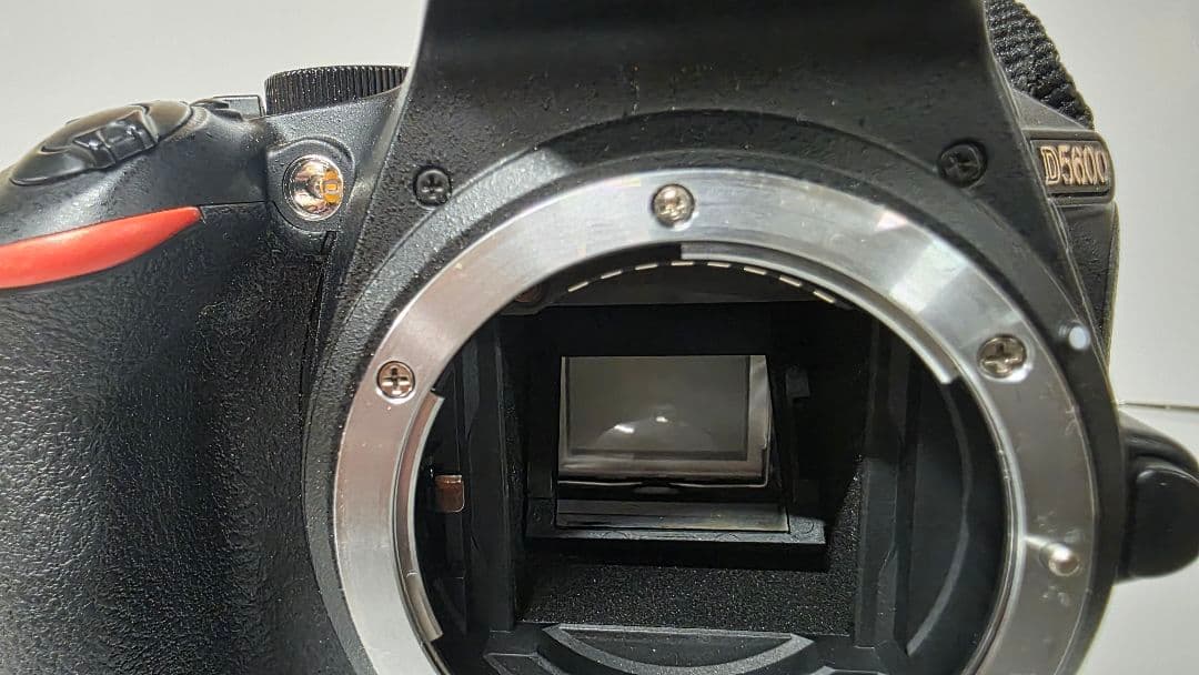 美品 D5600 標準レンズキット / シャッター数3808枚！最終値下げ