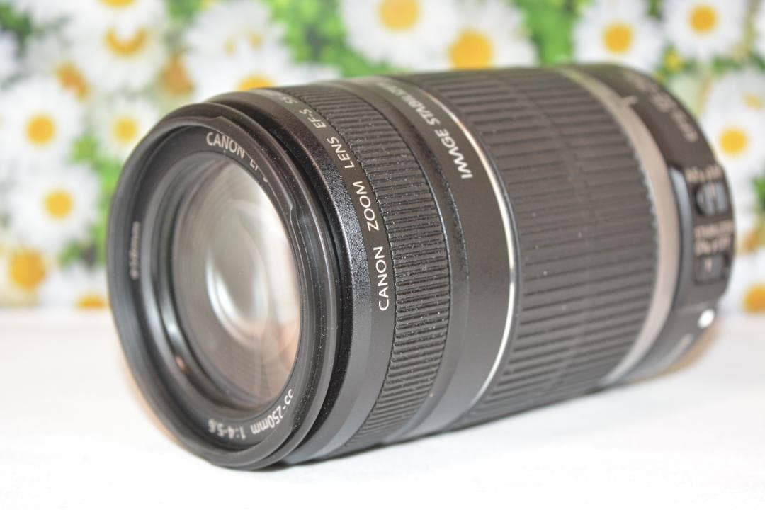 ❤❤Canon EF-S 55-250mm F4-5.6 IS❤手振れ補正❤望遠
