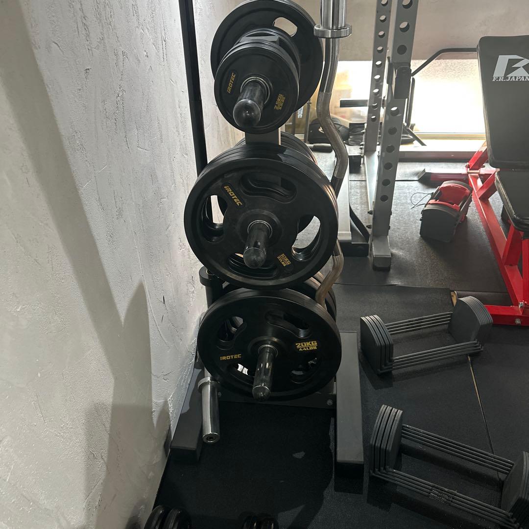 アイロテック iROTEC オリンピックプレートシャフトラック プレートツリー