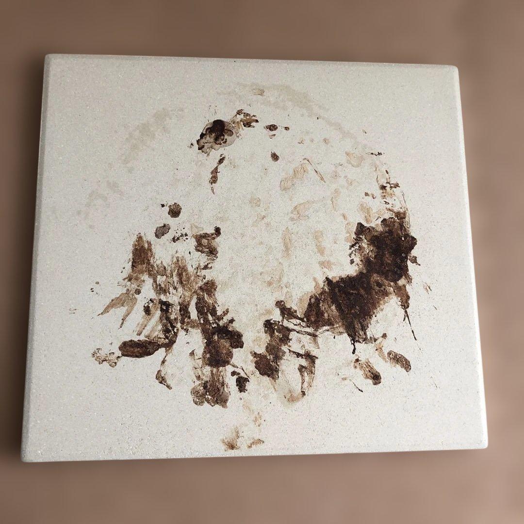 DeLonghi コンベクションオーブン E609155J-W