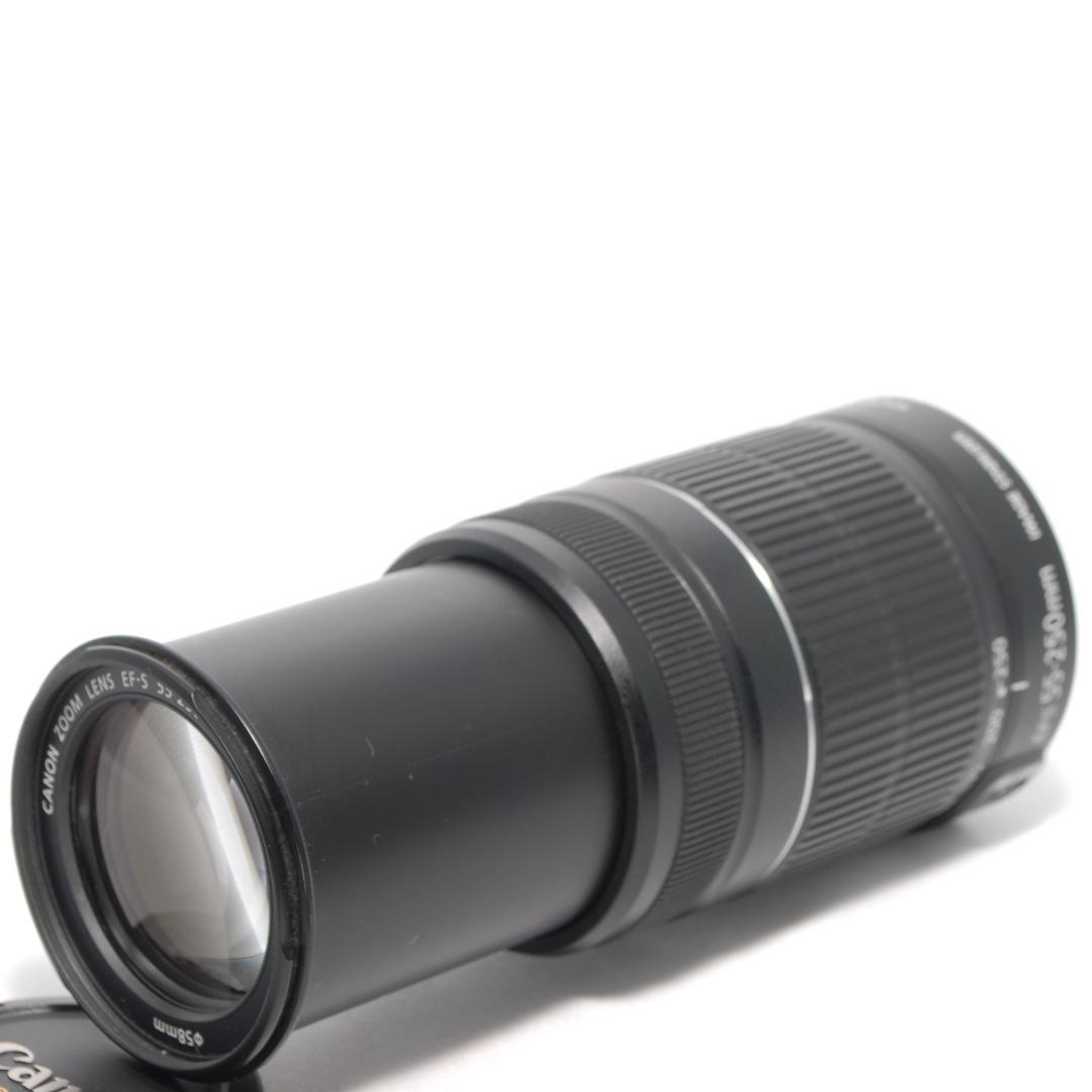 ✨Canon EF-S 55-250mm F4-5.6 IS✨美品✨手振れ補正✨
