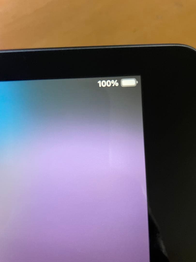 iPad 第7世代　本体 100%バッテリー 初期設定中　セルラーモデル