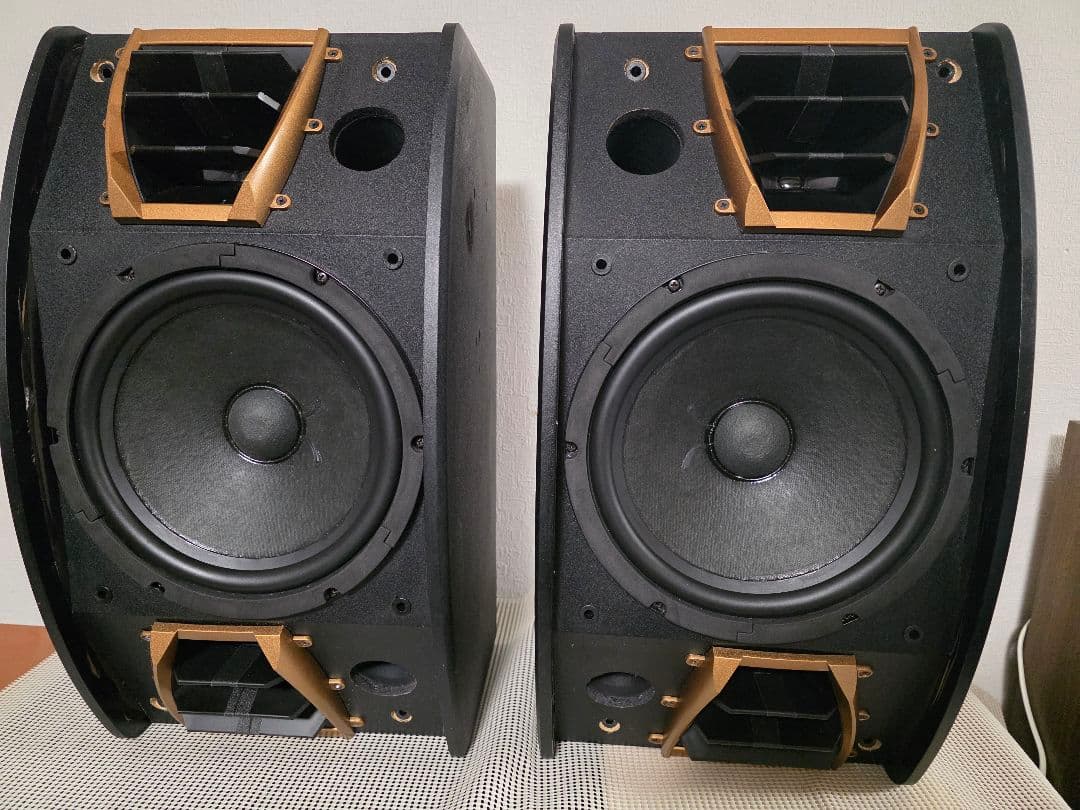 Karaoke スピーカーCLASSIC PRO KT200BR　ペア