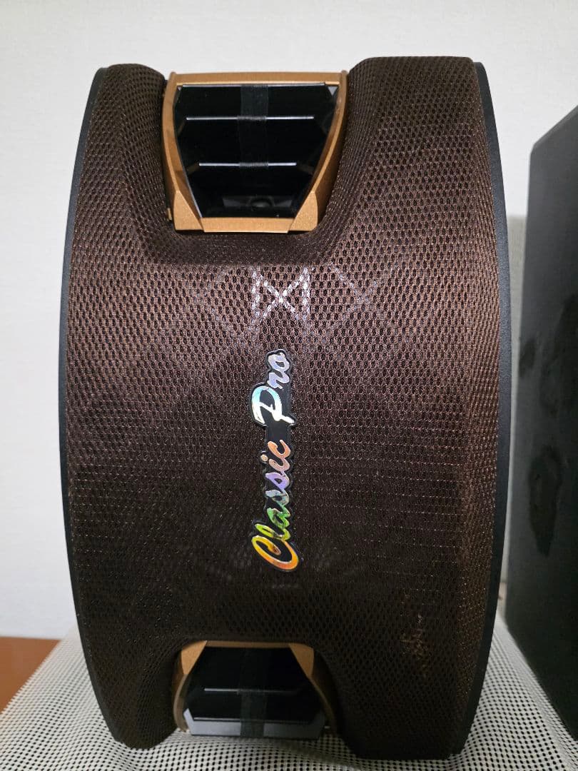 Karaoke スピーカーCLASSIC PRO KT200BR　ペア