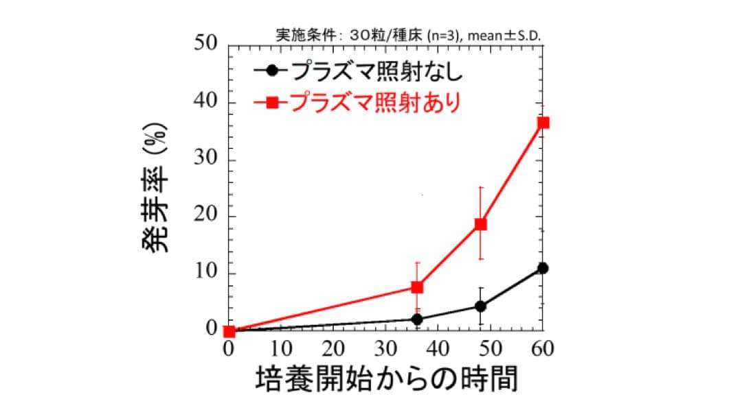 Alex ビューティ　レイヤー　美顔器　オゾン　プラズマ
