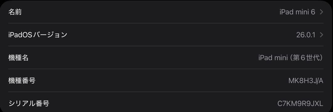 iPad mini (第6世代) Wi-Fi + Cellular 256GB