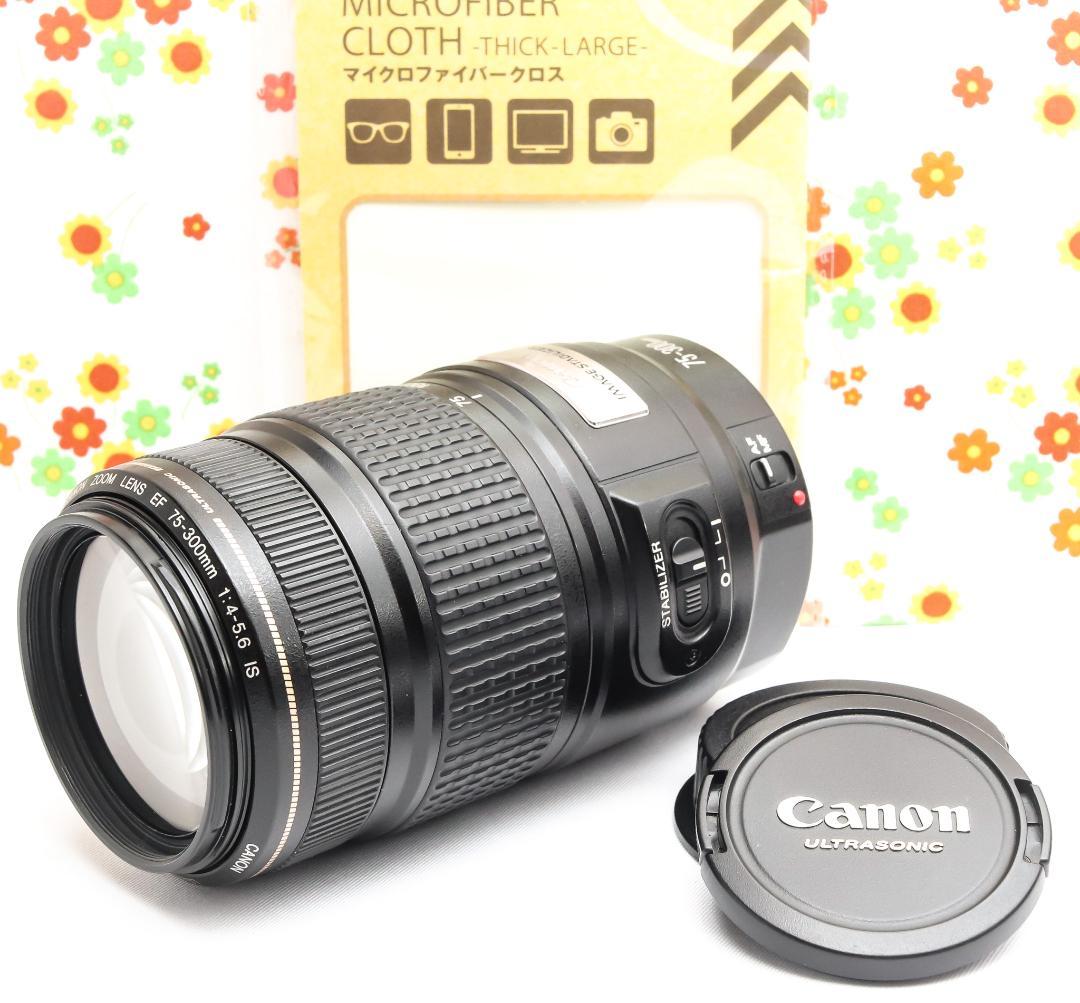 Canon EF 75-300mm IS USM☆超望遠レンズ☆大人気望遠レンズ