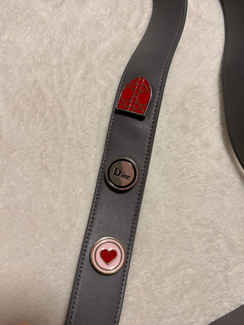 dior 鞄ベルト