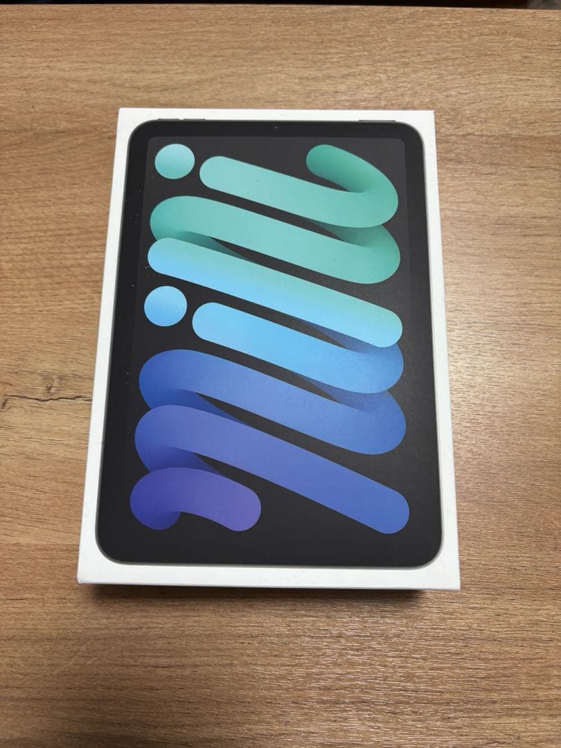 iPad mini (A17Pro) 128GB Wi-Fi美品