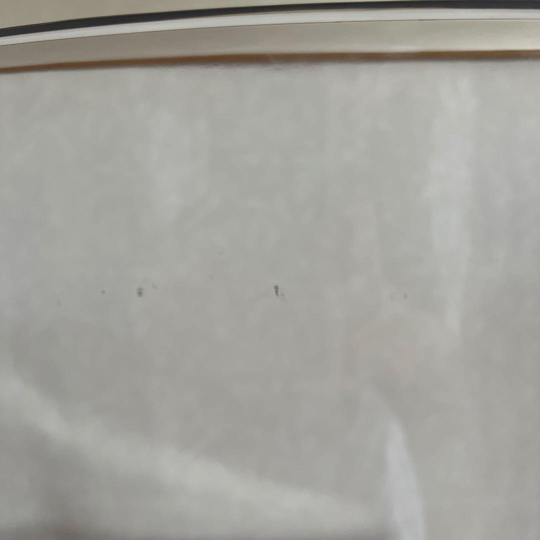 IKEA TOBIAS イケア トービアス チェア 透明 クリア