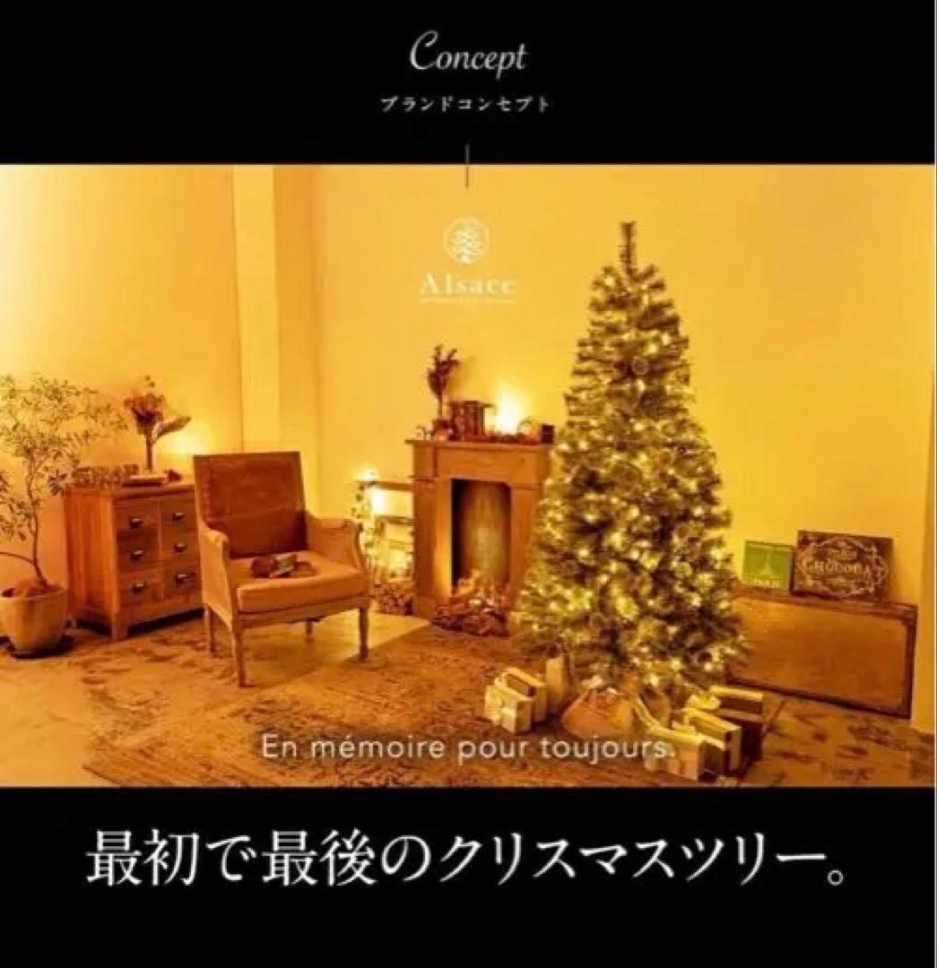 Alsace 210 クリスマスツリー　2025