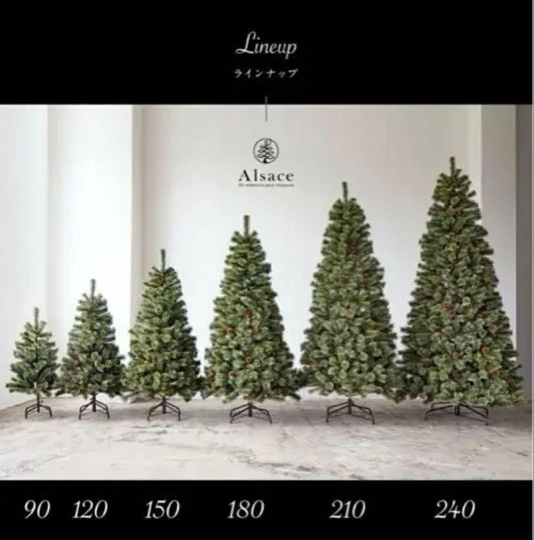 Alsace 210 クリスマスツリー　2025