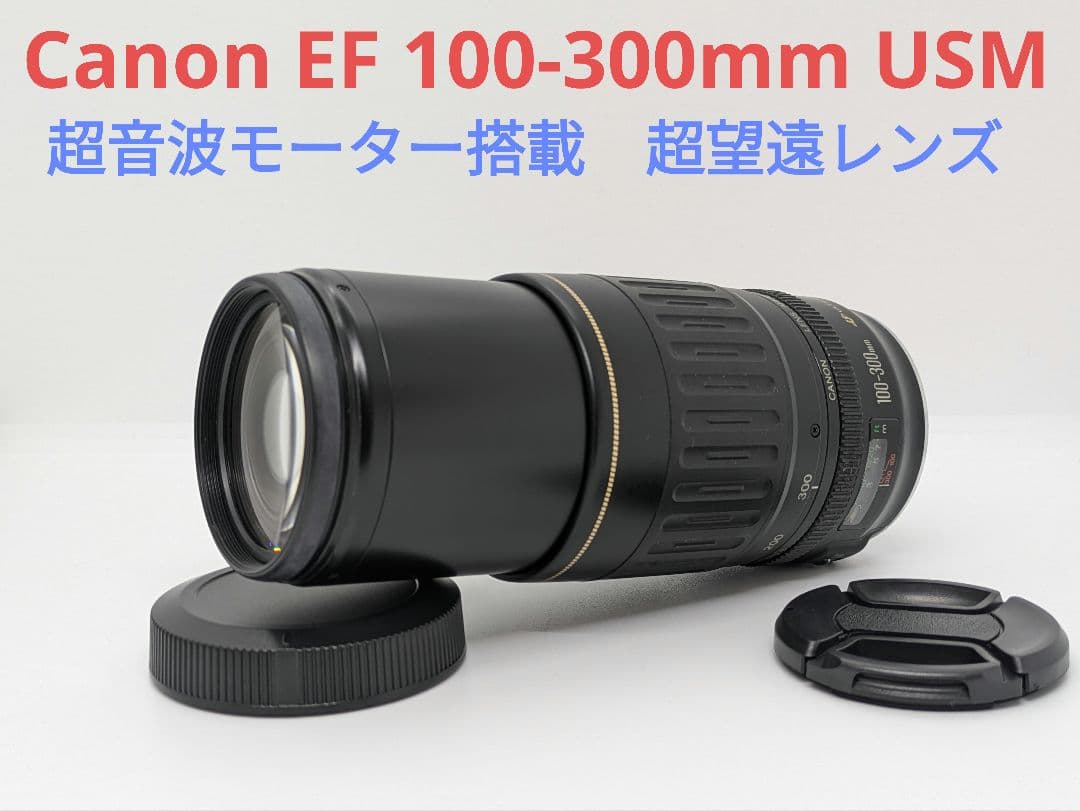 9月17日特別価格【超望遠レンズ】Canon EF 100-300mm USM