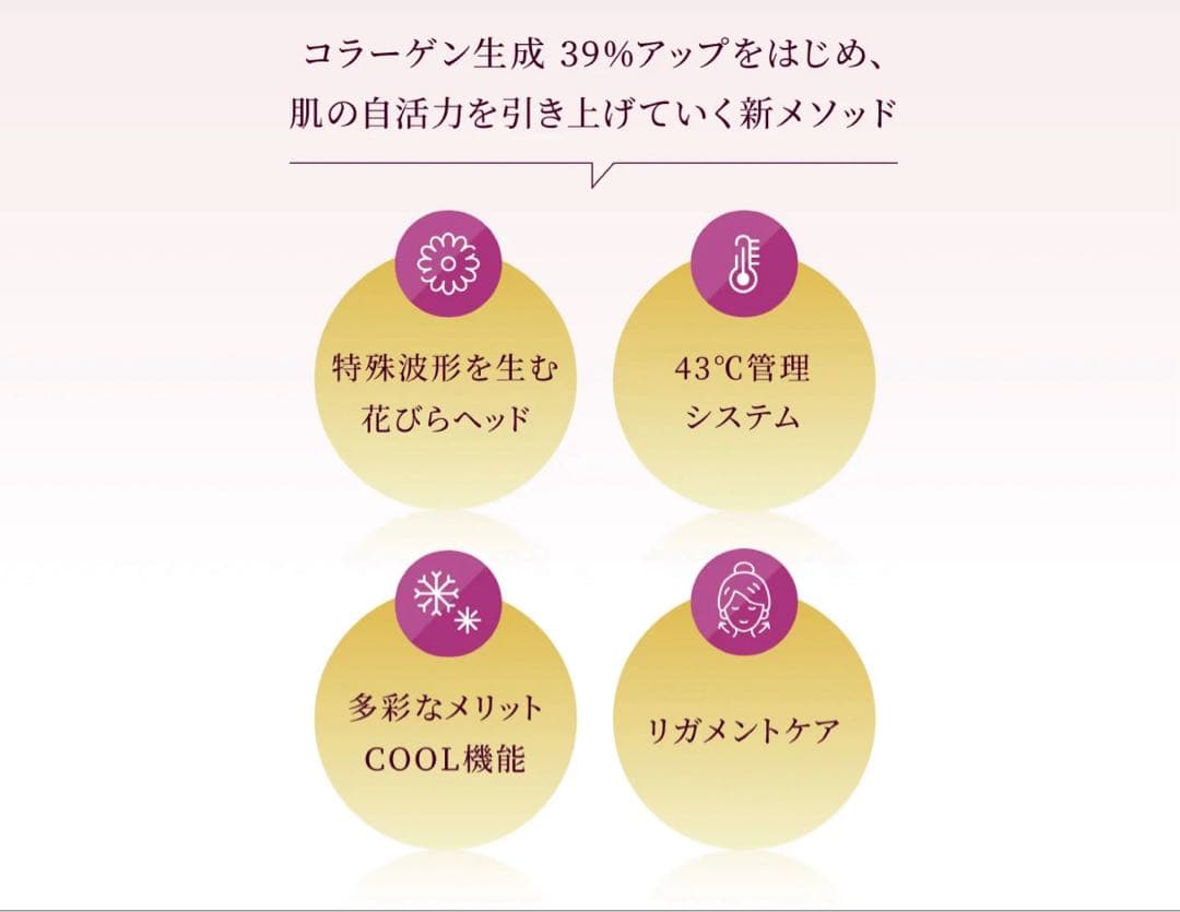 VI-OLA SANTI MIRACLE 美顔器