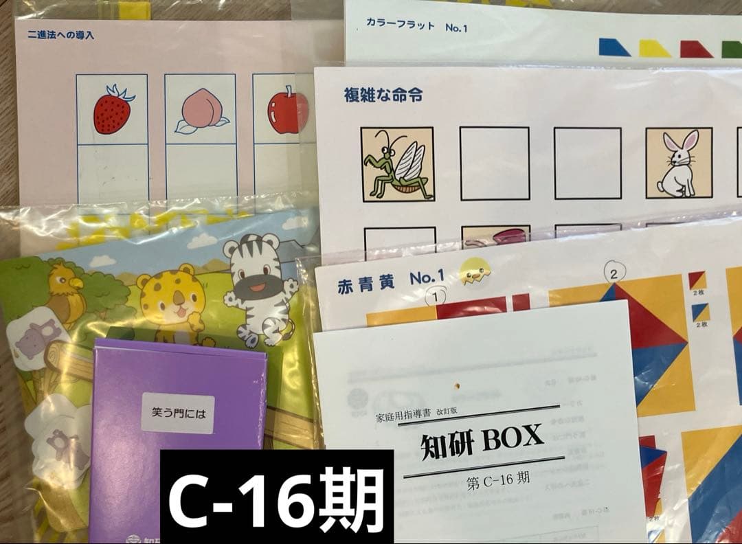 知研ボックス Q-13/Q-14/Q-15/Q-16 キッズアカデミー　年長