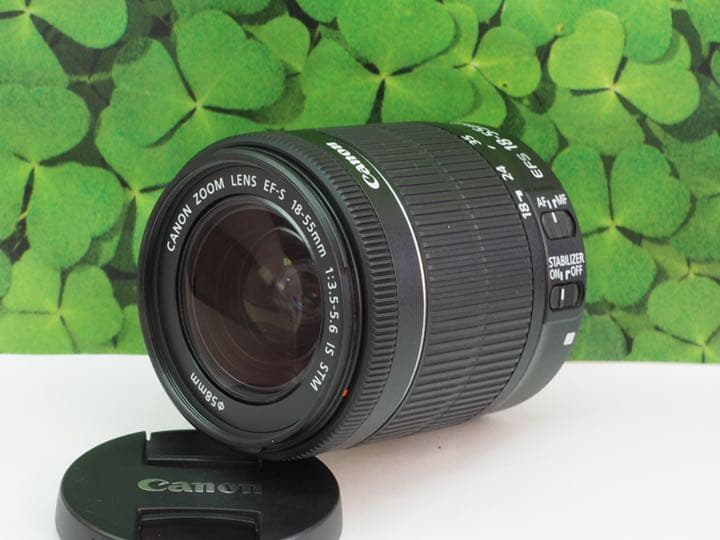 【美品】キヤノンEF-S18-55mm STM 標準ズームレンズ⭐️手ブレ機能付
