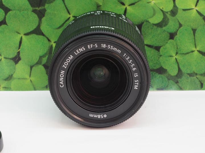 【美品】キヤノンEF-S18-55mm STM 標準ズームレンズ⭐️手ブレ機能付