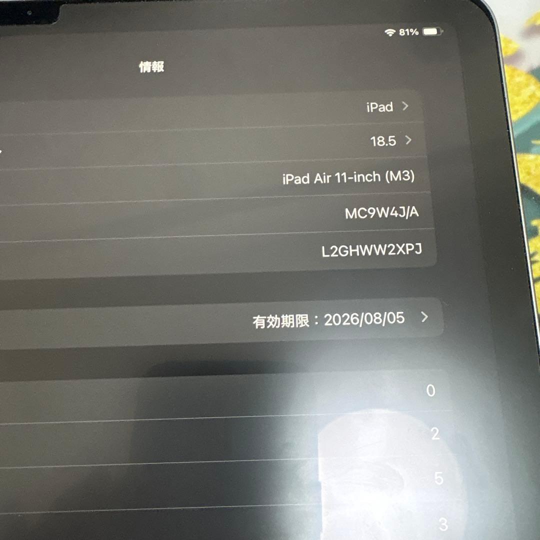 iPad Air 11-inch (M3) 本体