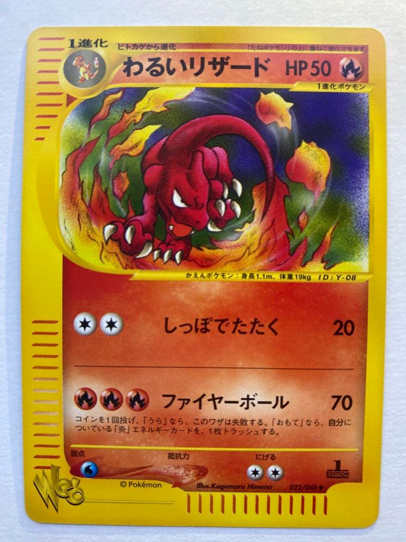 わるいリザード、わるいフシギソウセット★web