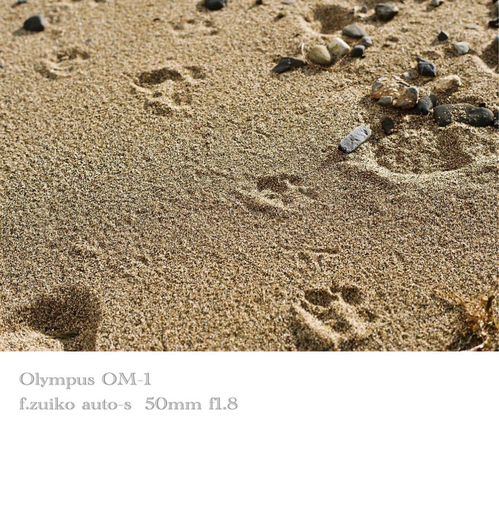 完動品＊美品＊初期保証！★オリンパスOM-1★リザード本革外装★フィルム入門に！