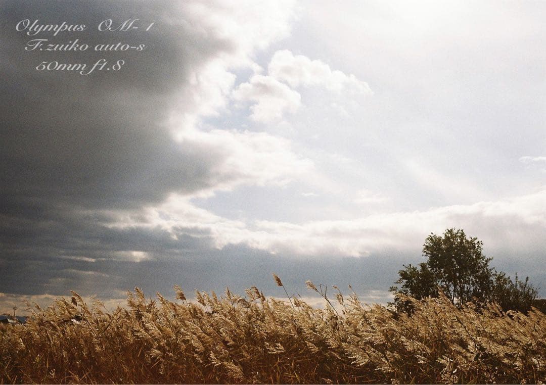 完動品＊美品＊初期保証！★オリンパスOM-1★リザード本革外装★フィルム入門に！