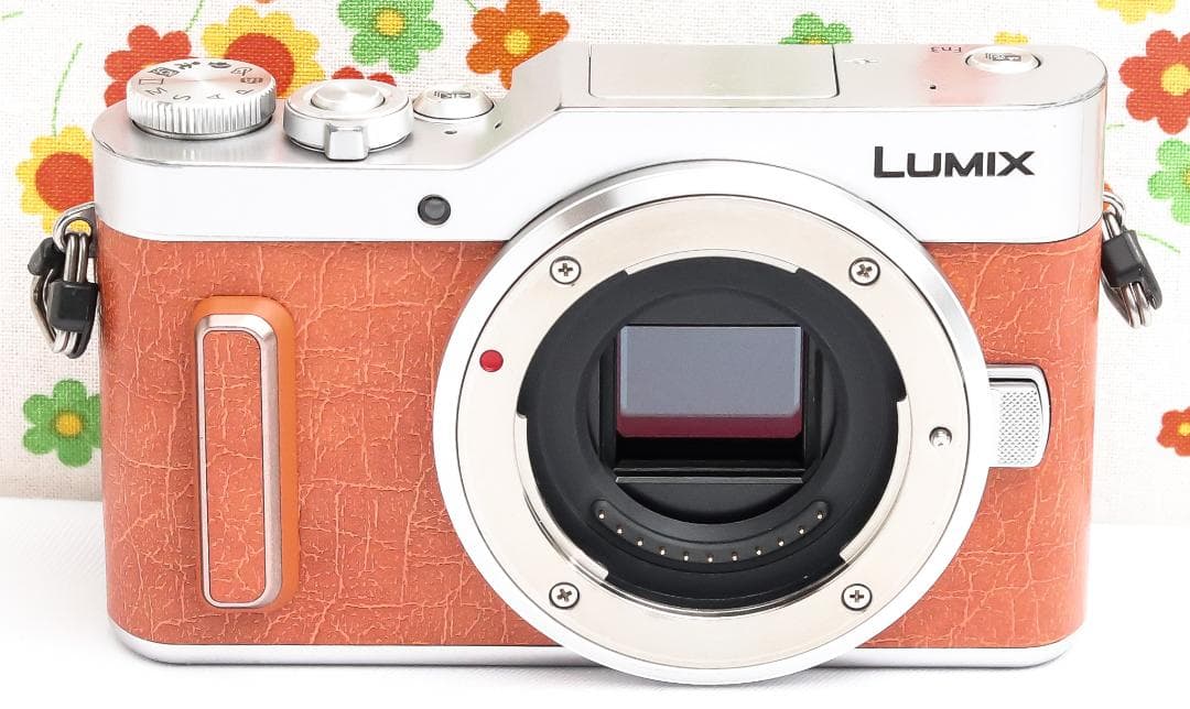 パナソニック Panasonic LUMIX GF10 ☆オレンジ☆ミラーレス