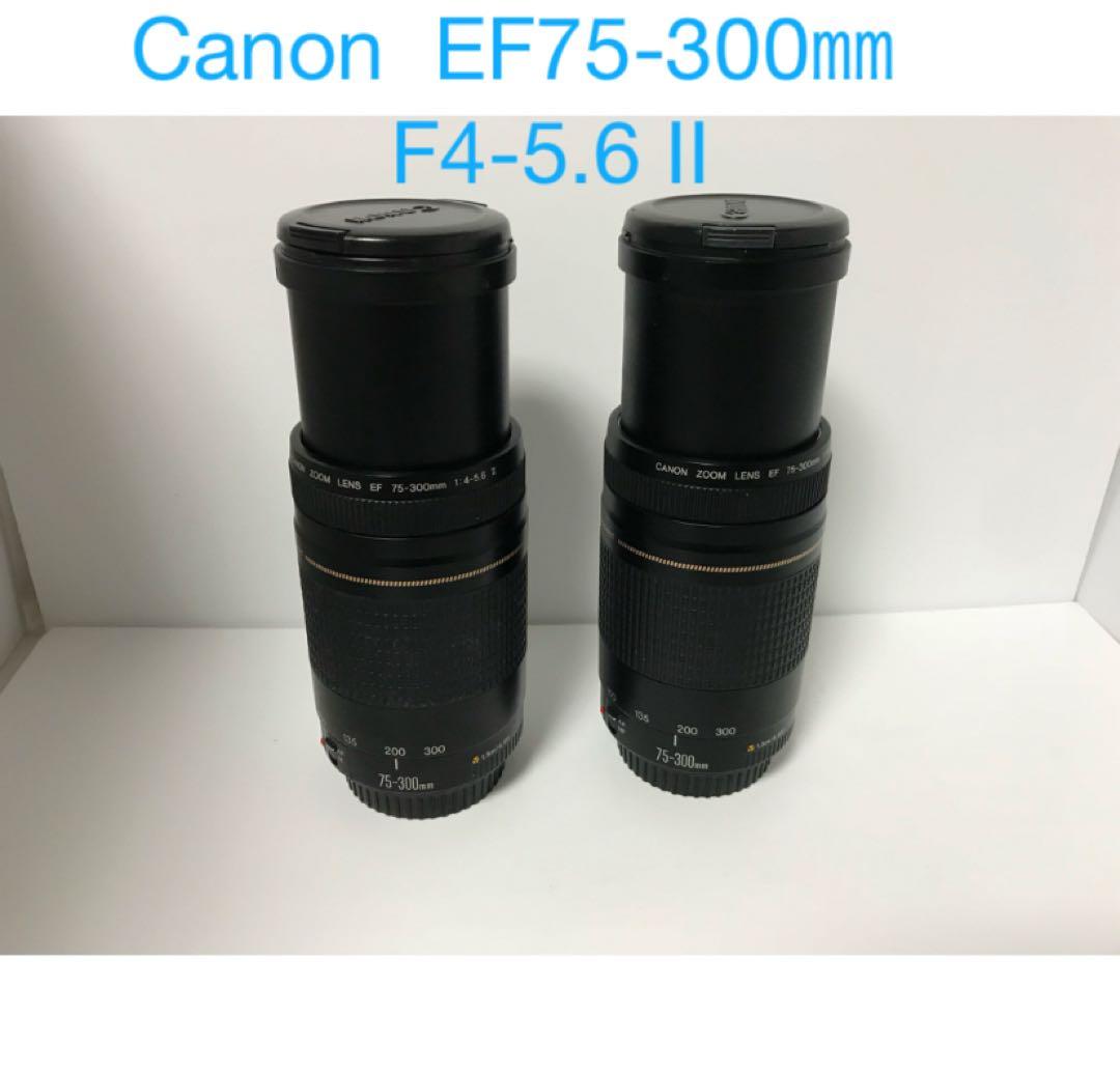 （2セット）望遠レンズ/キヤノン/Canon EF75-300㎜