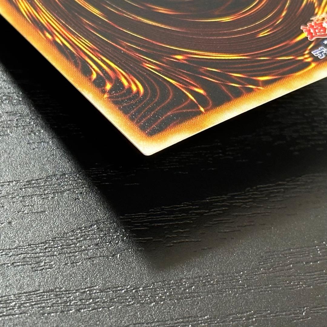 遊戯王 大嵐 ノーマルパラレル PC版