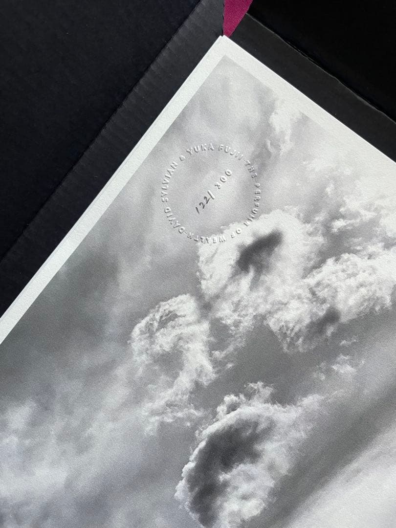 David Sylvian The Perfume of Wealth　サイン付