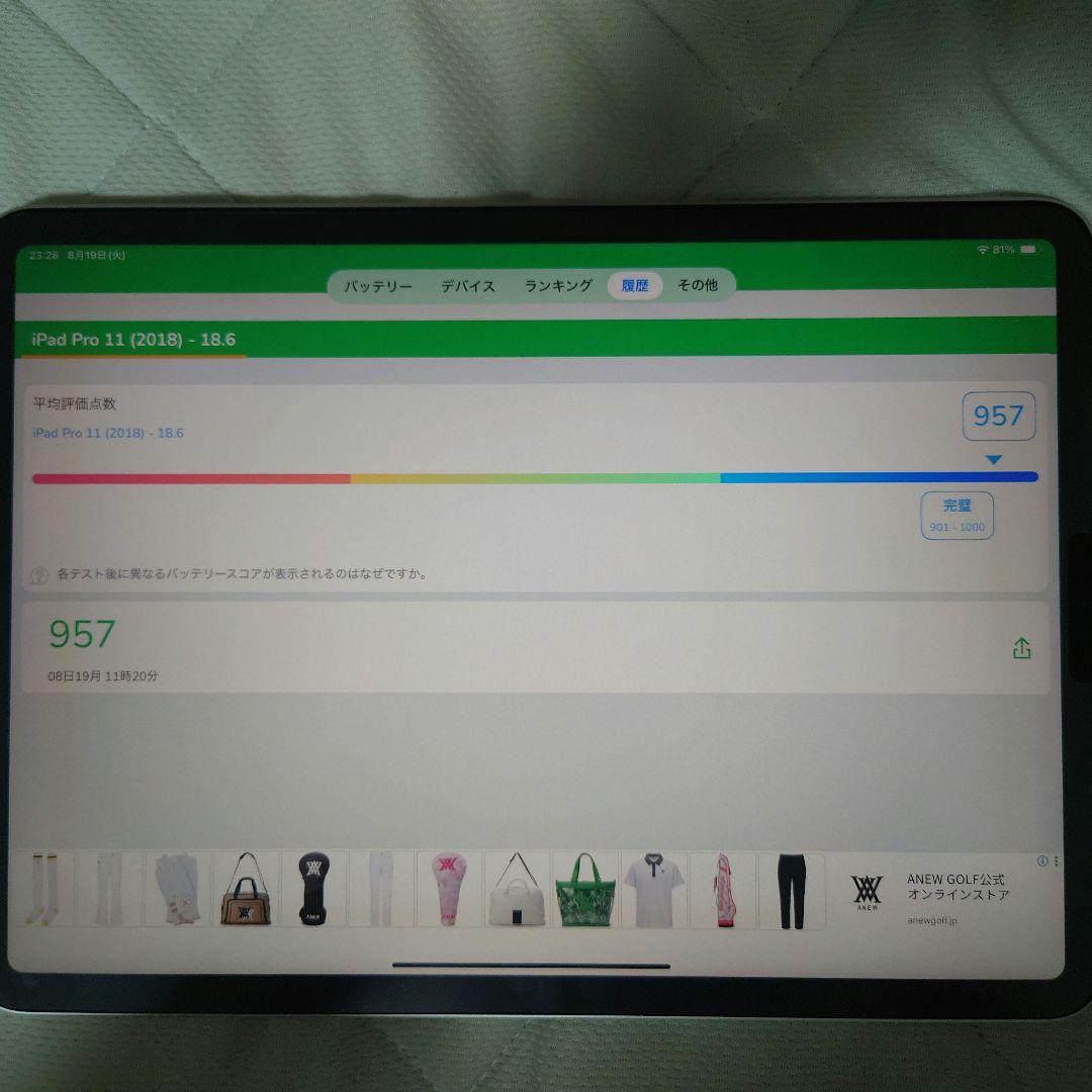 iPad Pro 11インチ 第1世代 256GB wifiモデル シルバー