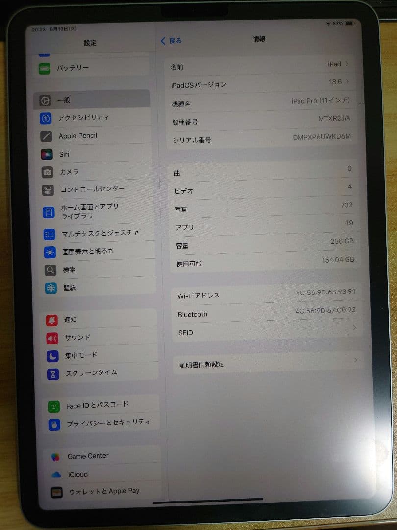 iPad Pro 11インチ 第1世代 256GB wifiモデル シルバー