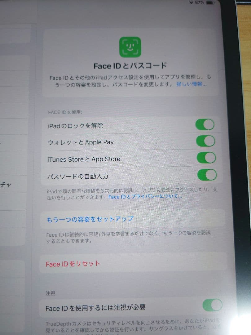 iPad Pro 11インチ 第1世代 256GB wifiモデル シルバー