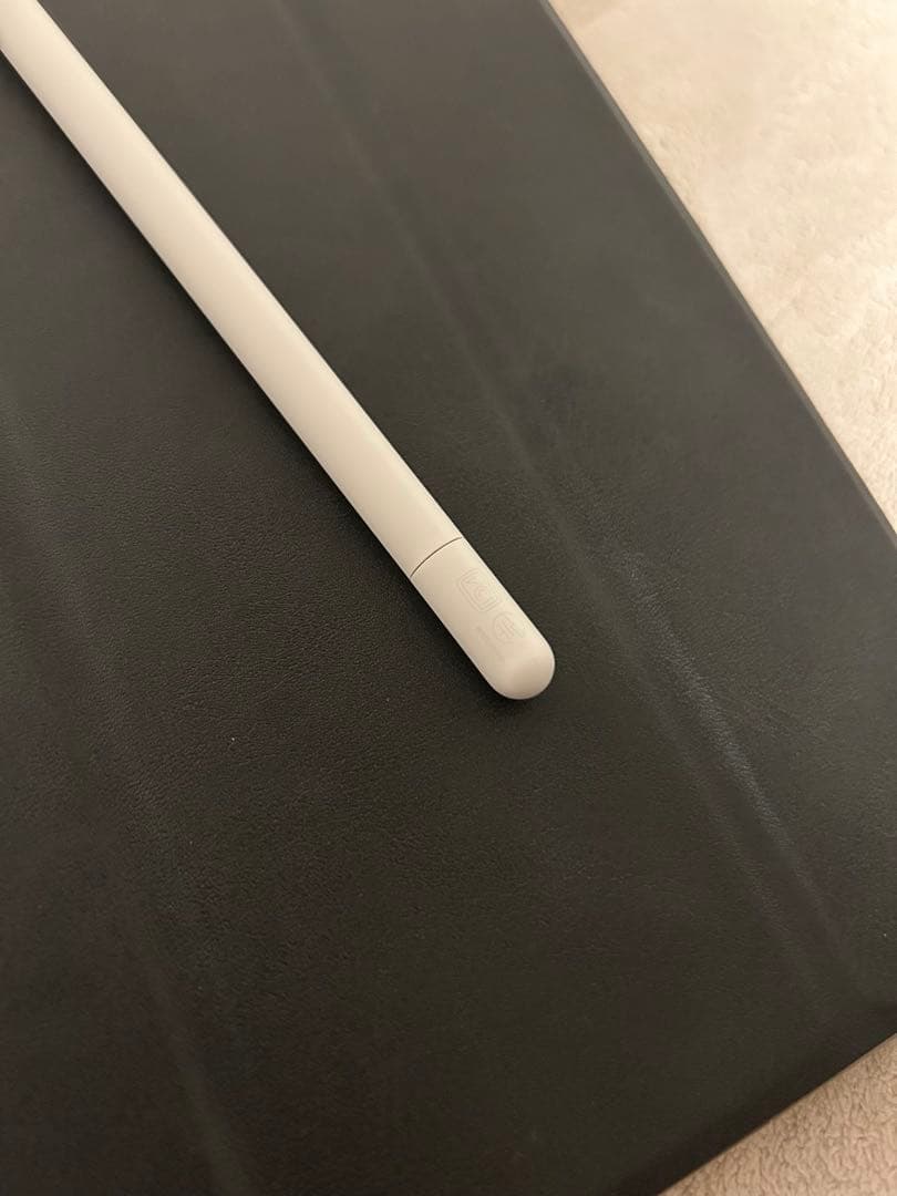 Apple Pencil USB-C （純正、使用10分ほど）