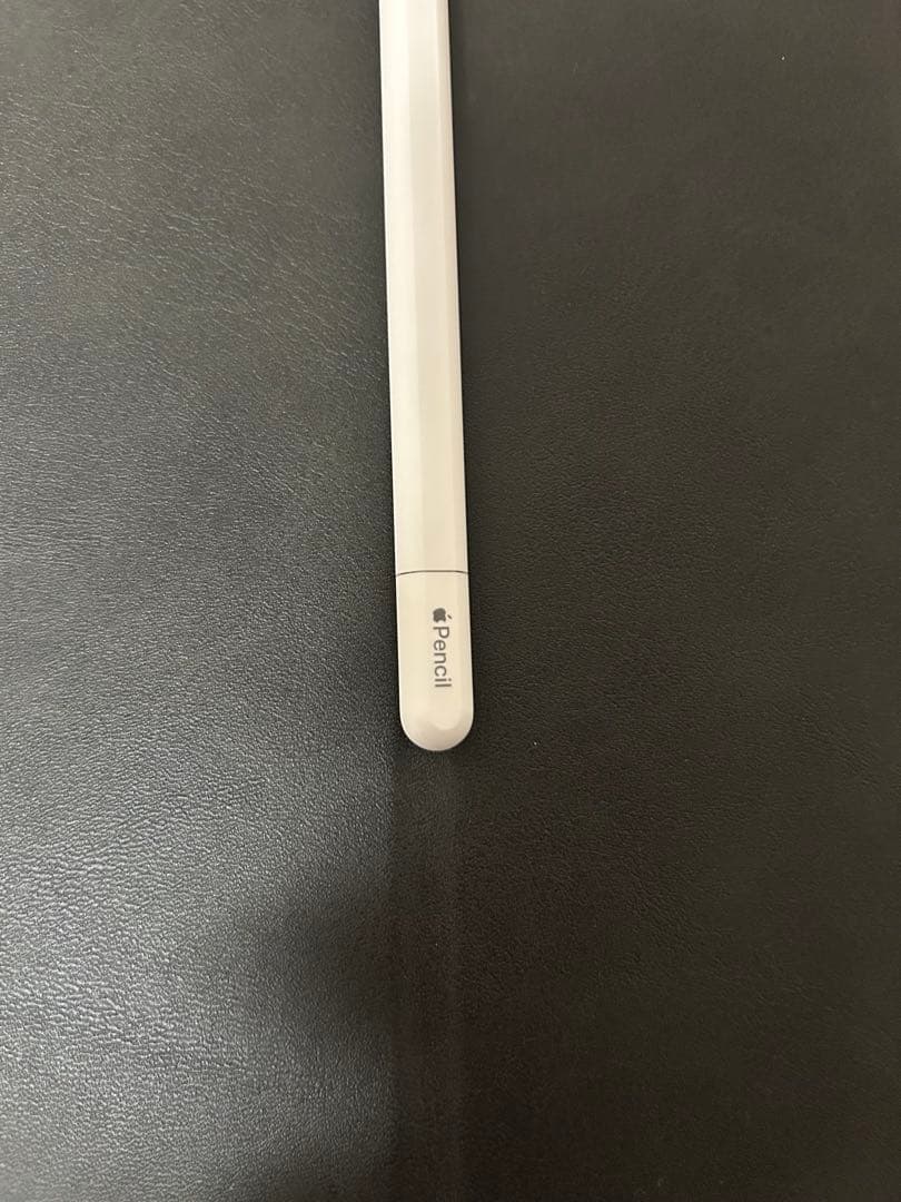 Apple Pencil USB-C （純正、使用10分ほど）