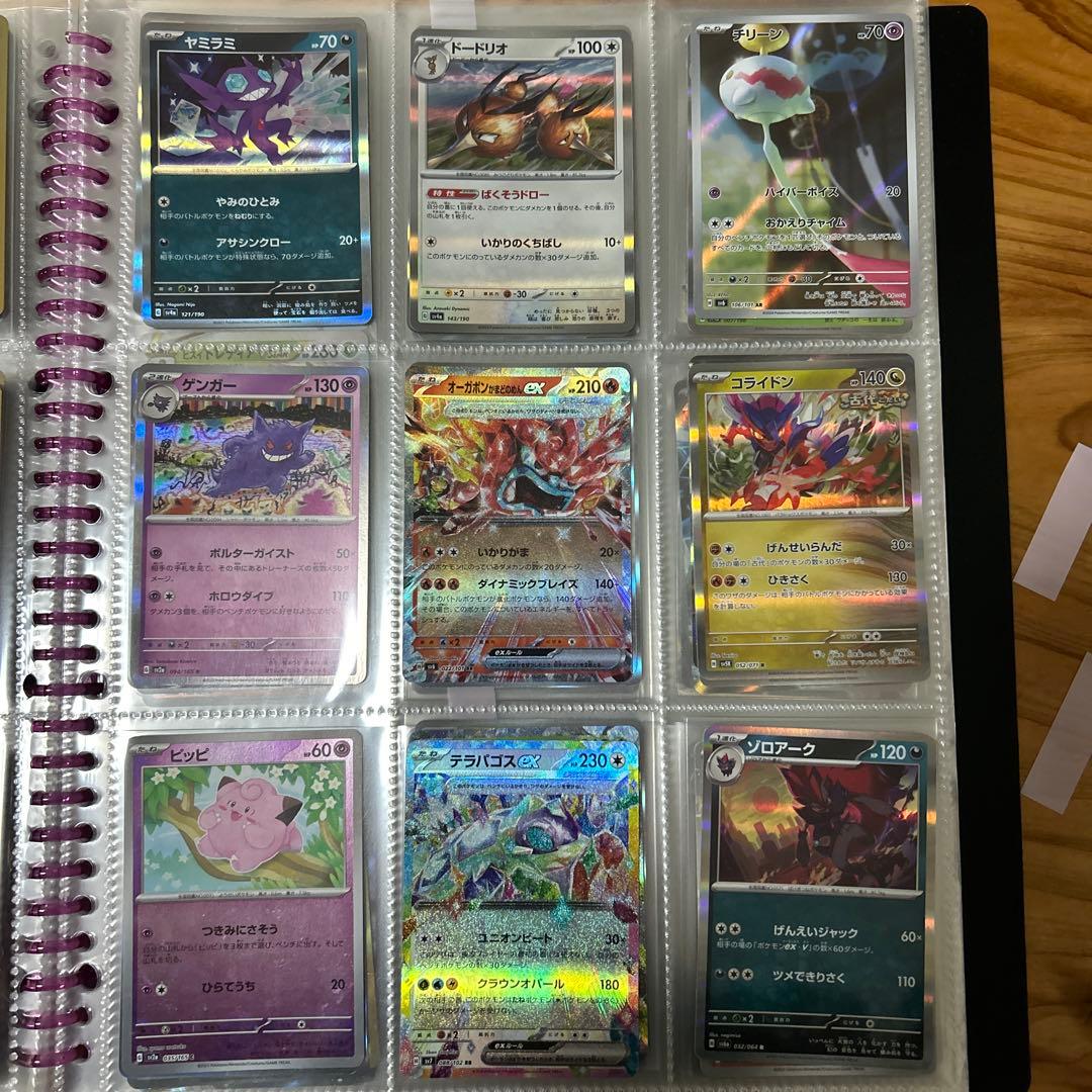 タケルライコex / ドラパルトex ほか ポケカセット 216枚