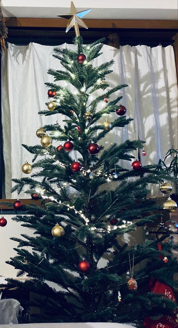 IKEA クリスマスツリー 210cm