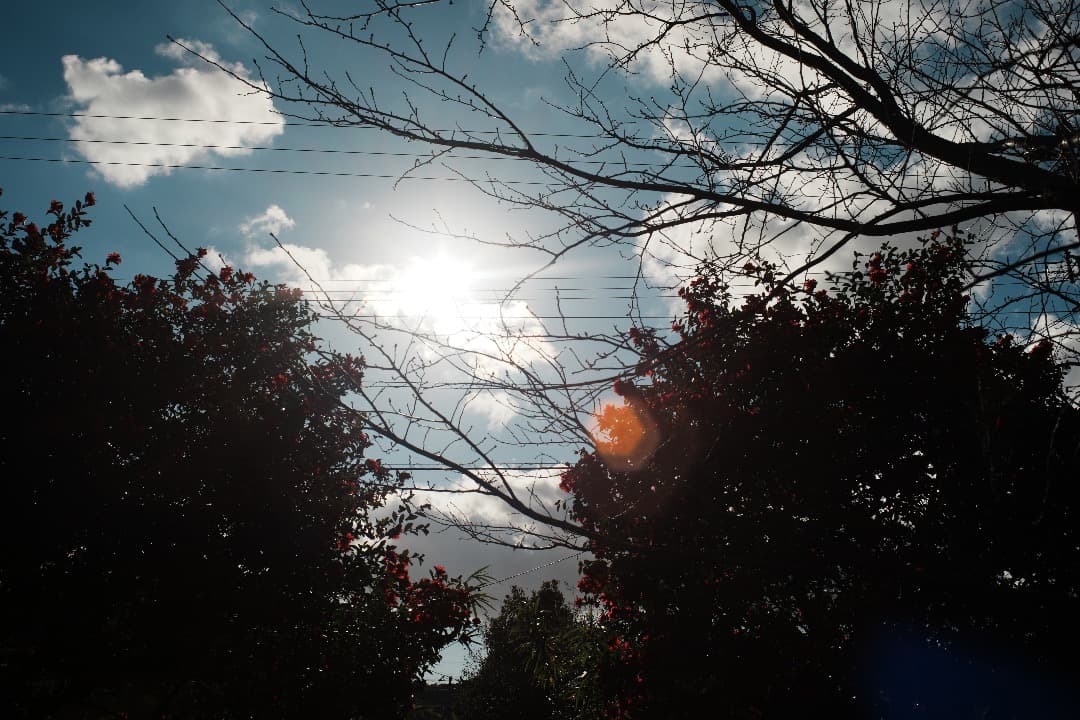 【整備＆テスト】オリンパス Zuiko auto-w 35mm F2.8