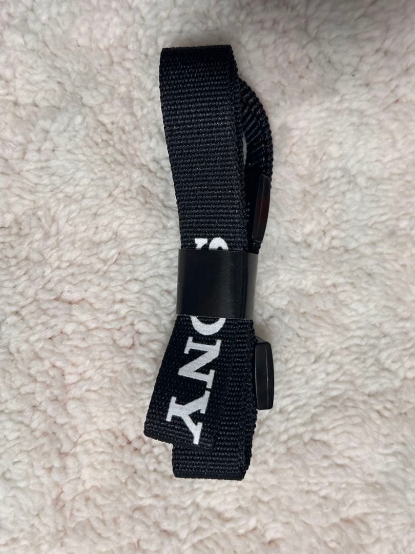 SONY α6100 ホワイト ダブルズームレンズキット