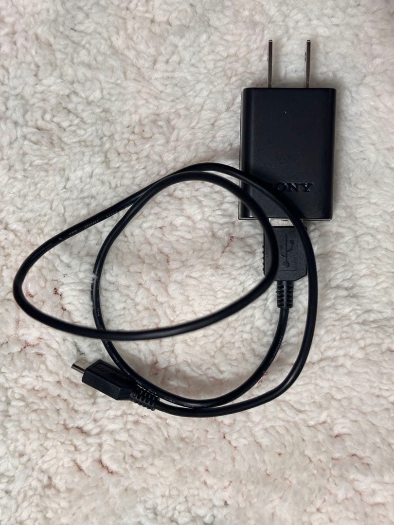 SONY α6100 ホワイト ダブルズームレンズキット