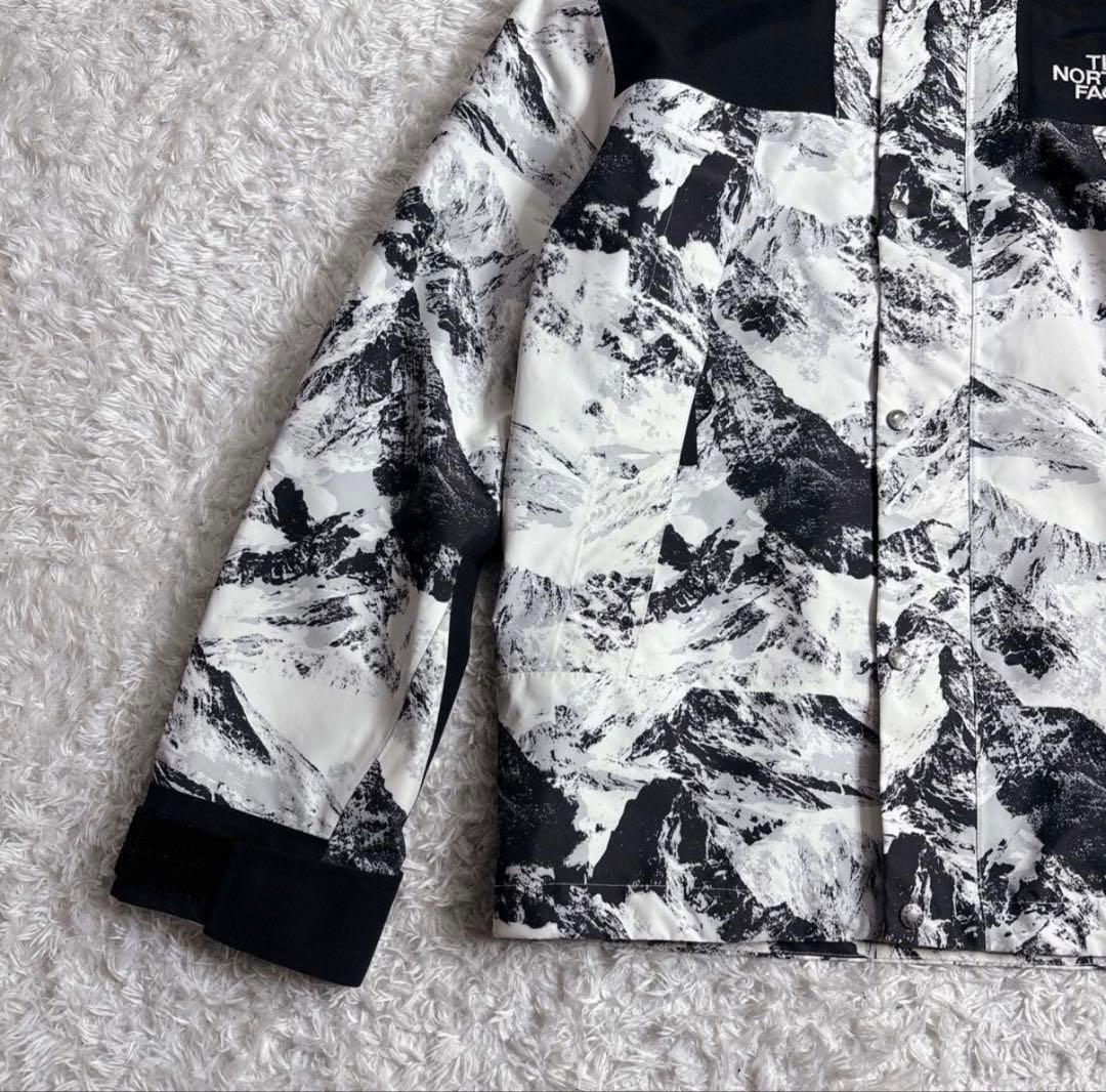 【美品】ザノースフェイス マウンテンパーカー　NJ2GN60B ゴアテックス M