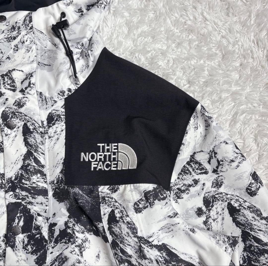 【美品】ザノースフェイス マウンテンパーカー　NJ2GN60B ゴアテックス M