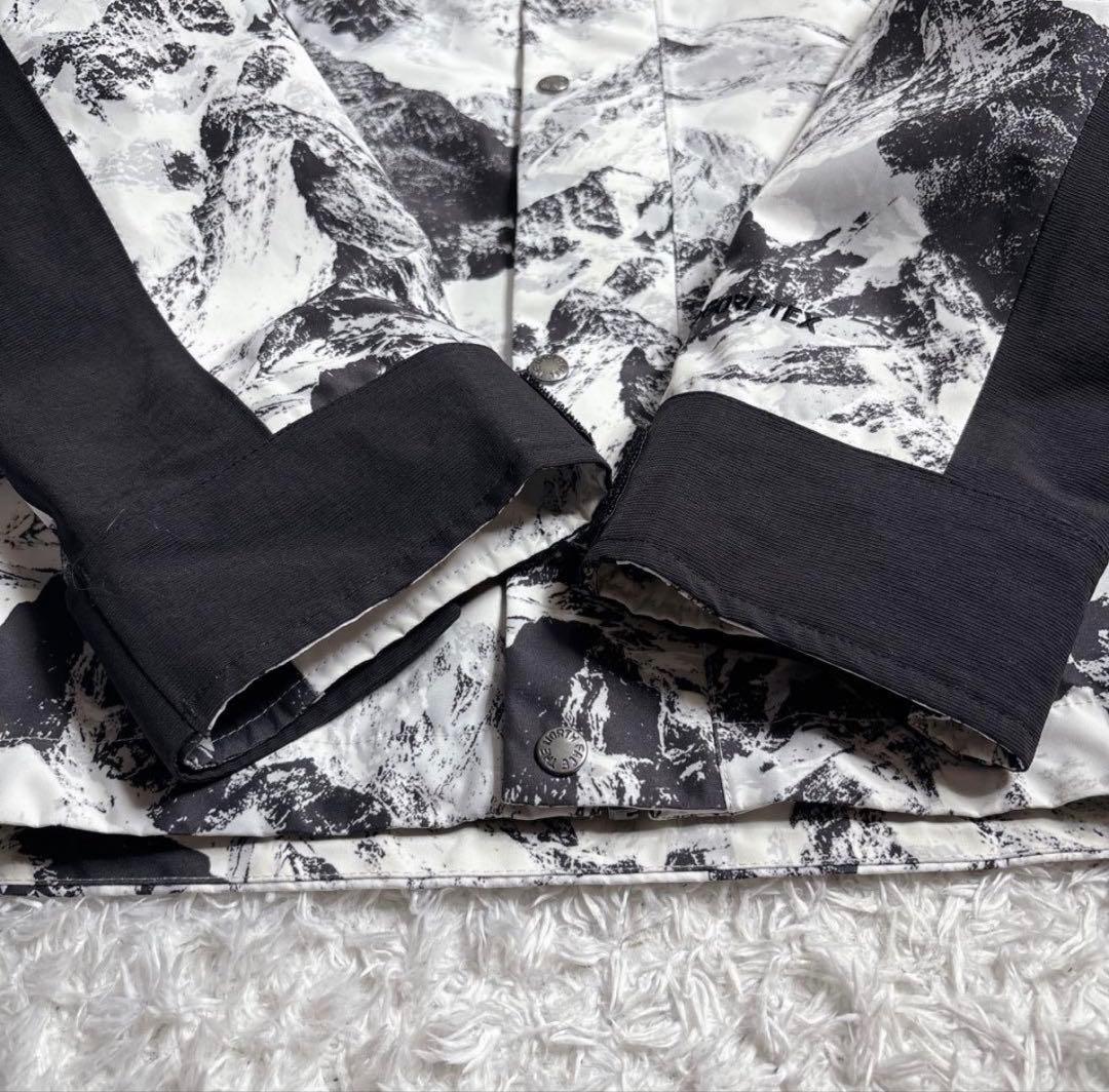 【美品】ザノースフェイス マウンテンパーカー　NJ2GN60B ゴアテックス M