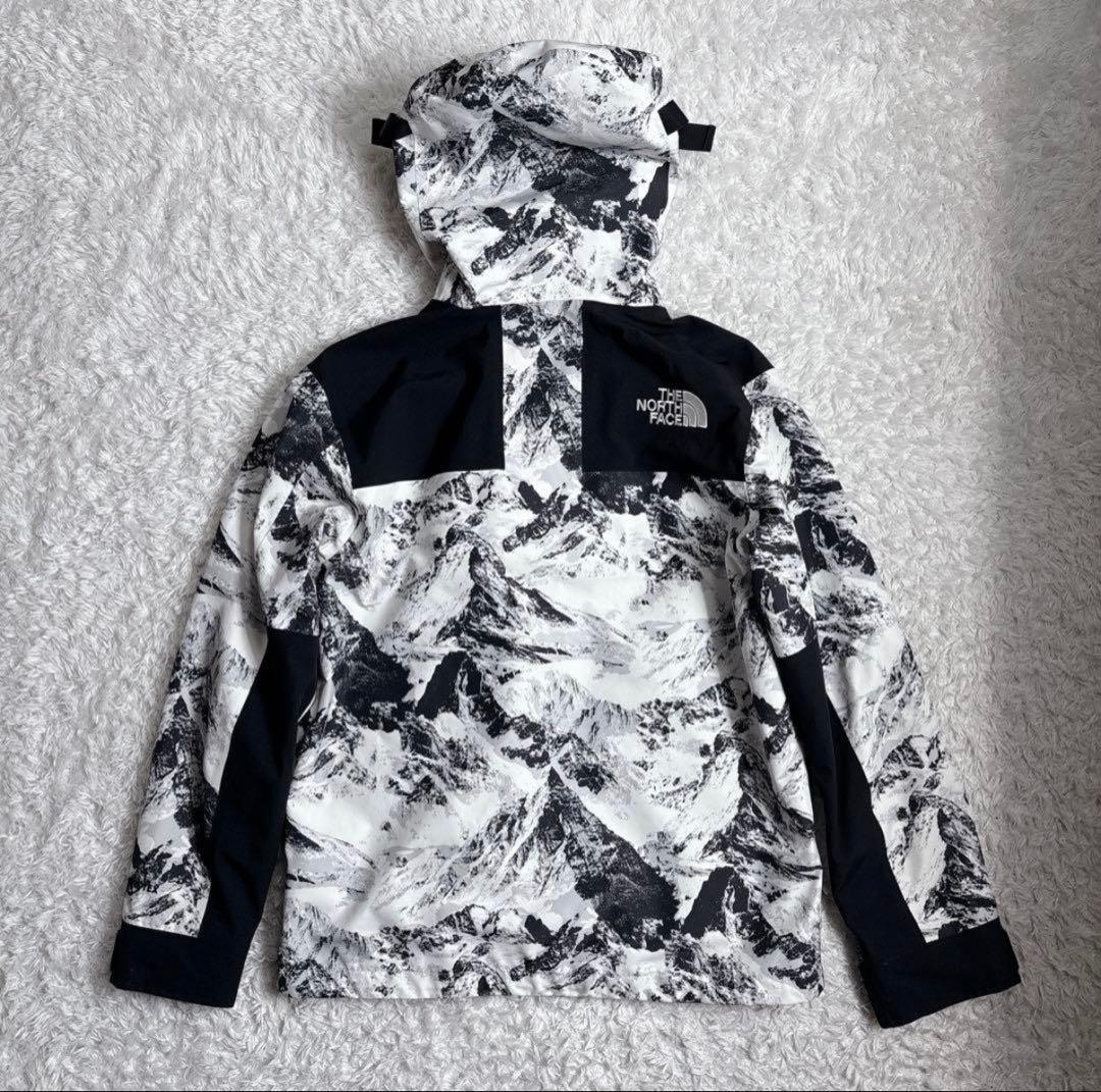 【美品】ザノースフェイス マウンテンパーカー　NJ2GN60B ゴアテックス M