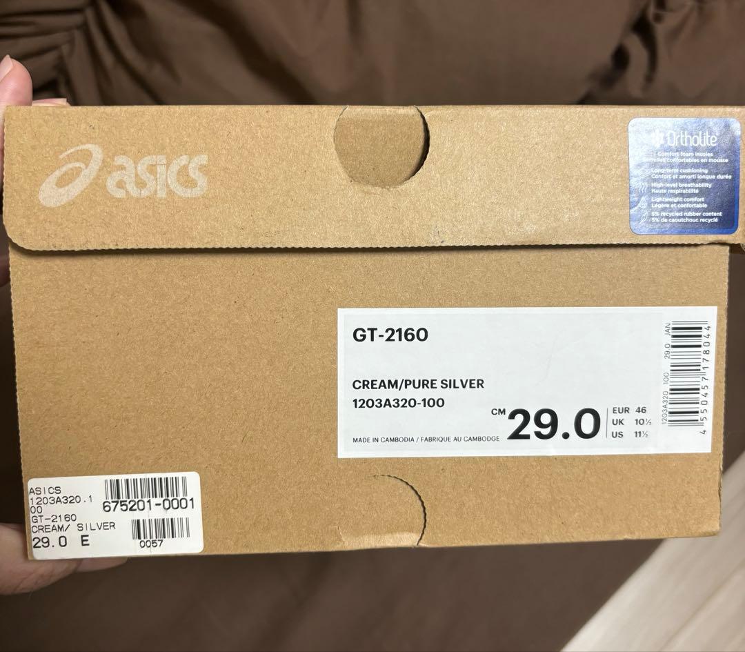 靴 ASICS GT-2160 1203A320-100