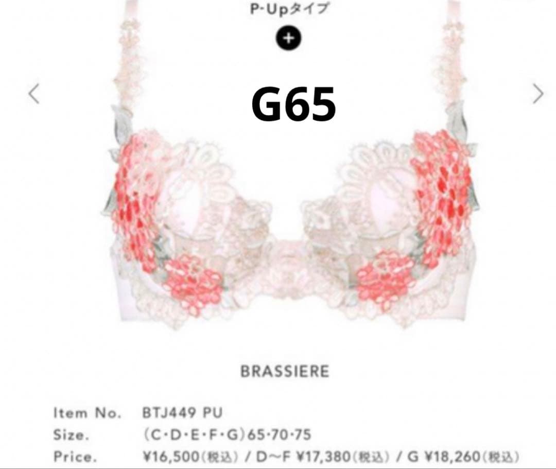 ワコールサルート【店舗限定商品】49G BTJ449