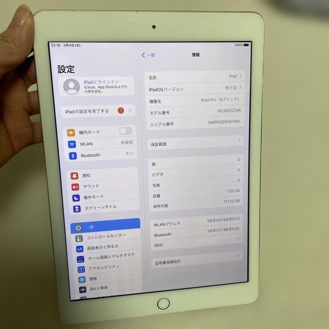 R*a様 iPad Pro (9.7インチ) 128GB バッテリー98%