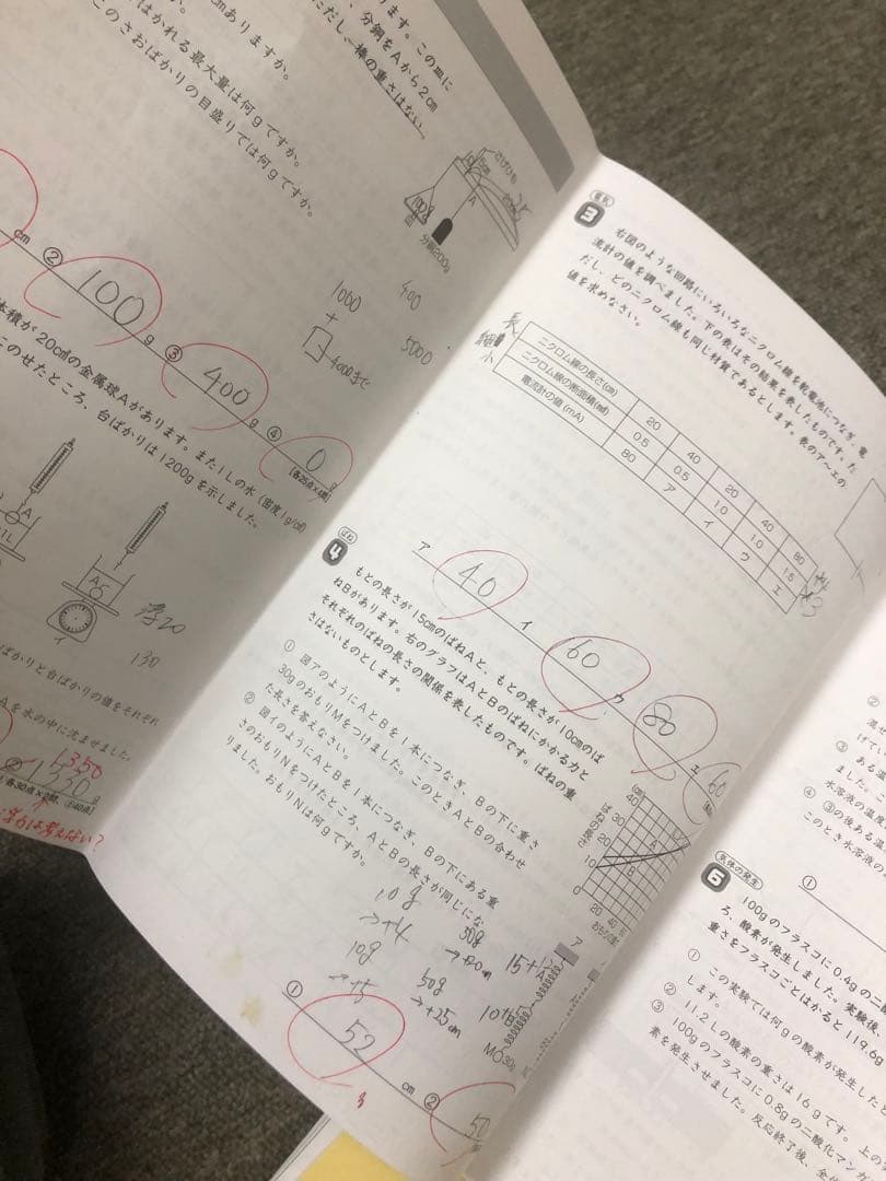 サピックス6年理科　サンデーサピックス　知識論理力講座全14回確認テスト付属