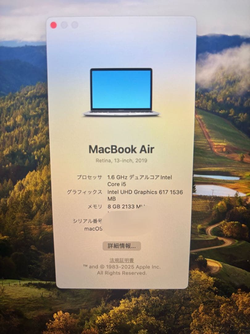 【極美品】2019 MacBookAir13インチ 256gb